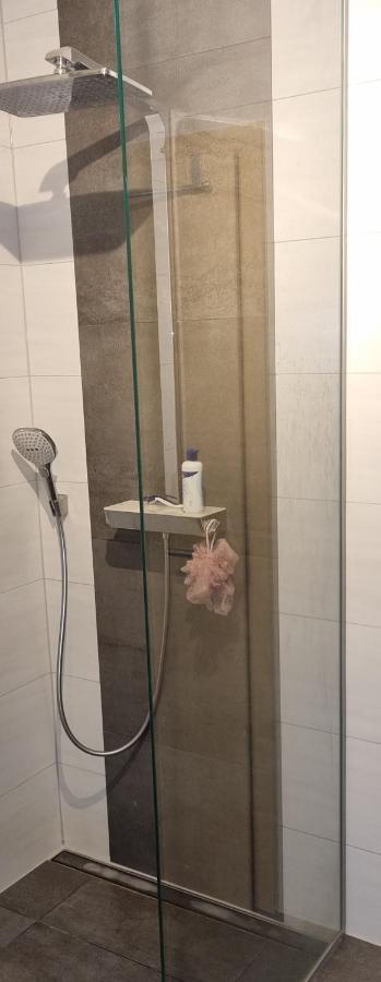 Ferienwohnung Bergidyll 슈바르첸베르크 외부 사진